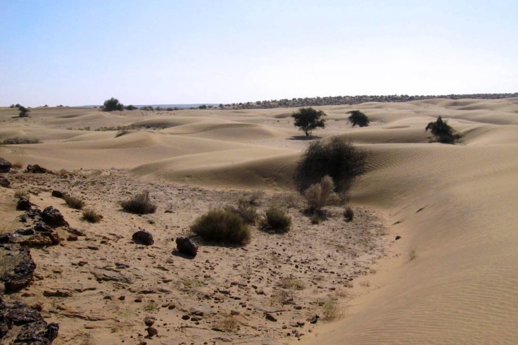 Desert-1.jpg